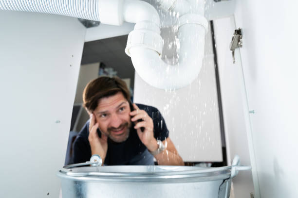Best Sewer Line Repair  in Metropolis, IL